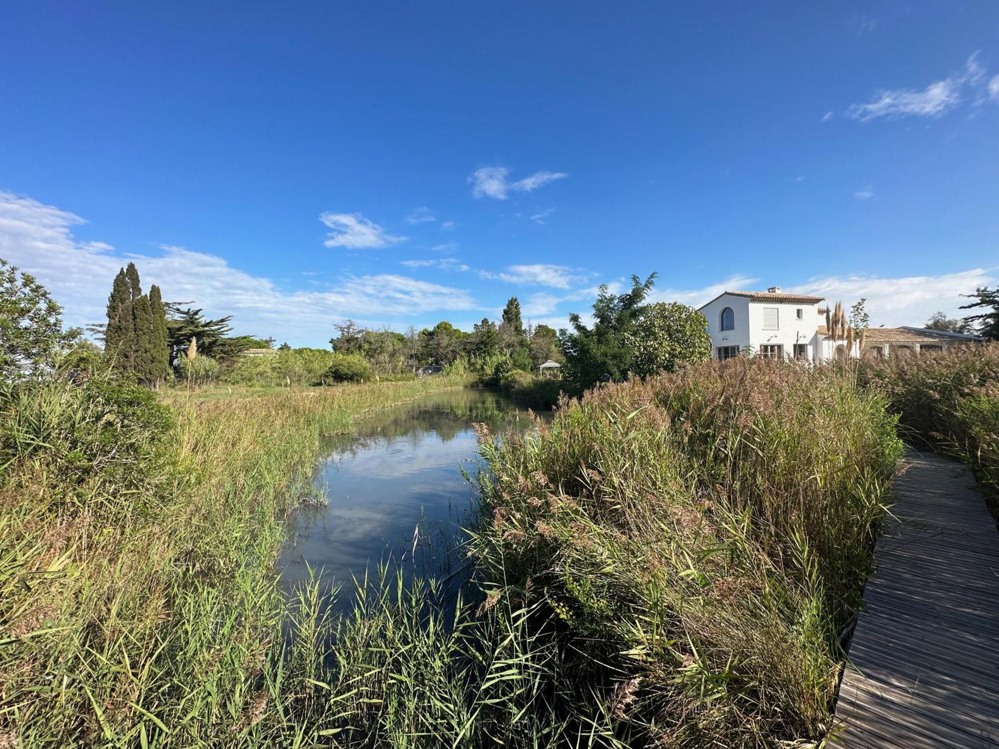 Mas Du Couvin, Maison D'Hotes En Camargue Saintes-Maries-de-la-Mer Exteriér fotografie